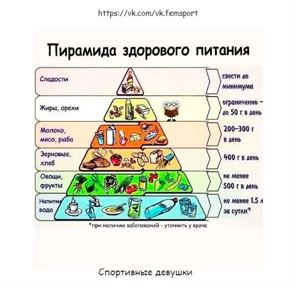 Основы правильного питания: обзор пищевых пирамид