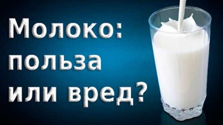 Молочные продукты: вред и польза, мифы и факты