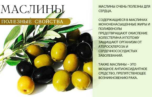 Оливки: польза, вред, состав, сорта, рецепты