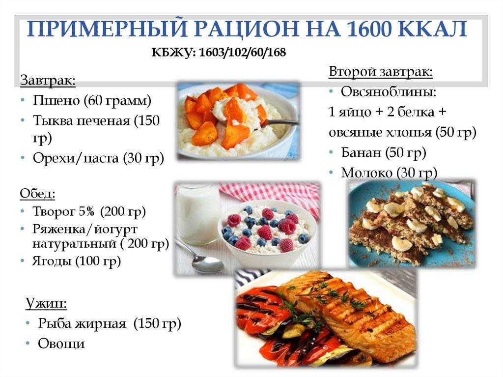 Как разумно составить рацион на 1500 ккал в день / три варианта меню от эксперта – статья из рубрики "здоровая еда" на food.ru