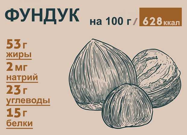 Сколько калорий в фундуке (сыром)? | mnogoli.ru