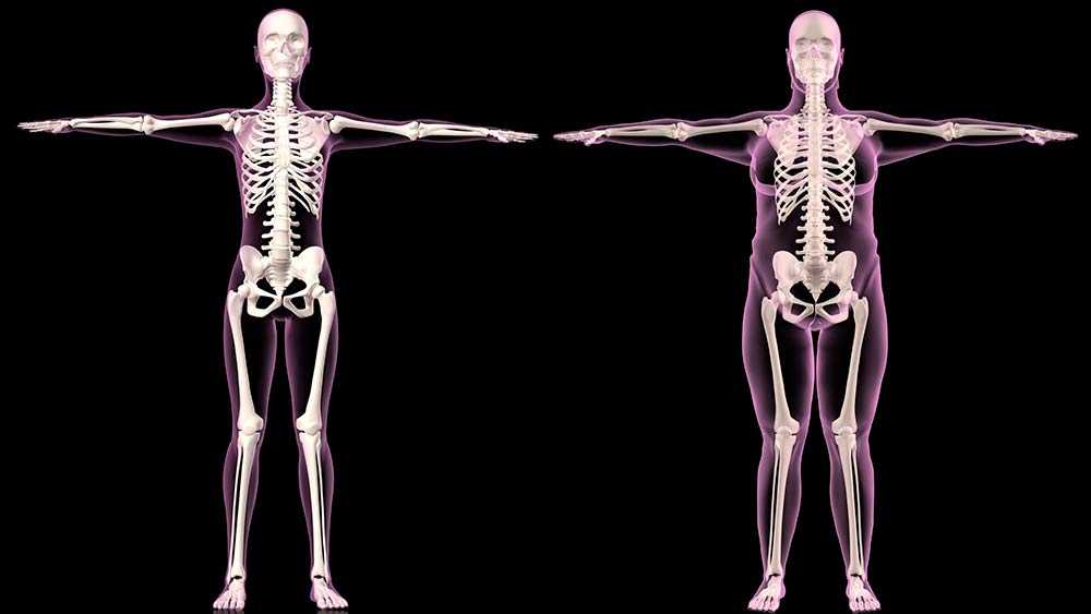Самая крепкая кость в теле человека лоб. какая кость у человека самая прочная, а какая самая хрупкая? самая крепкая кость