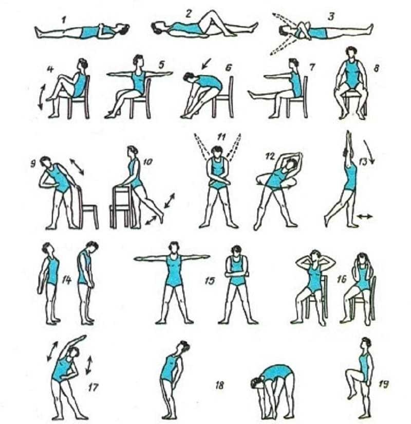 Гимнастика белояр: особенности и преимущества лучших комплексов упражнений