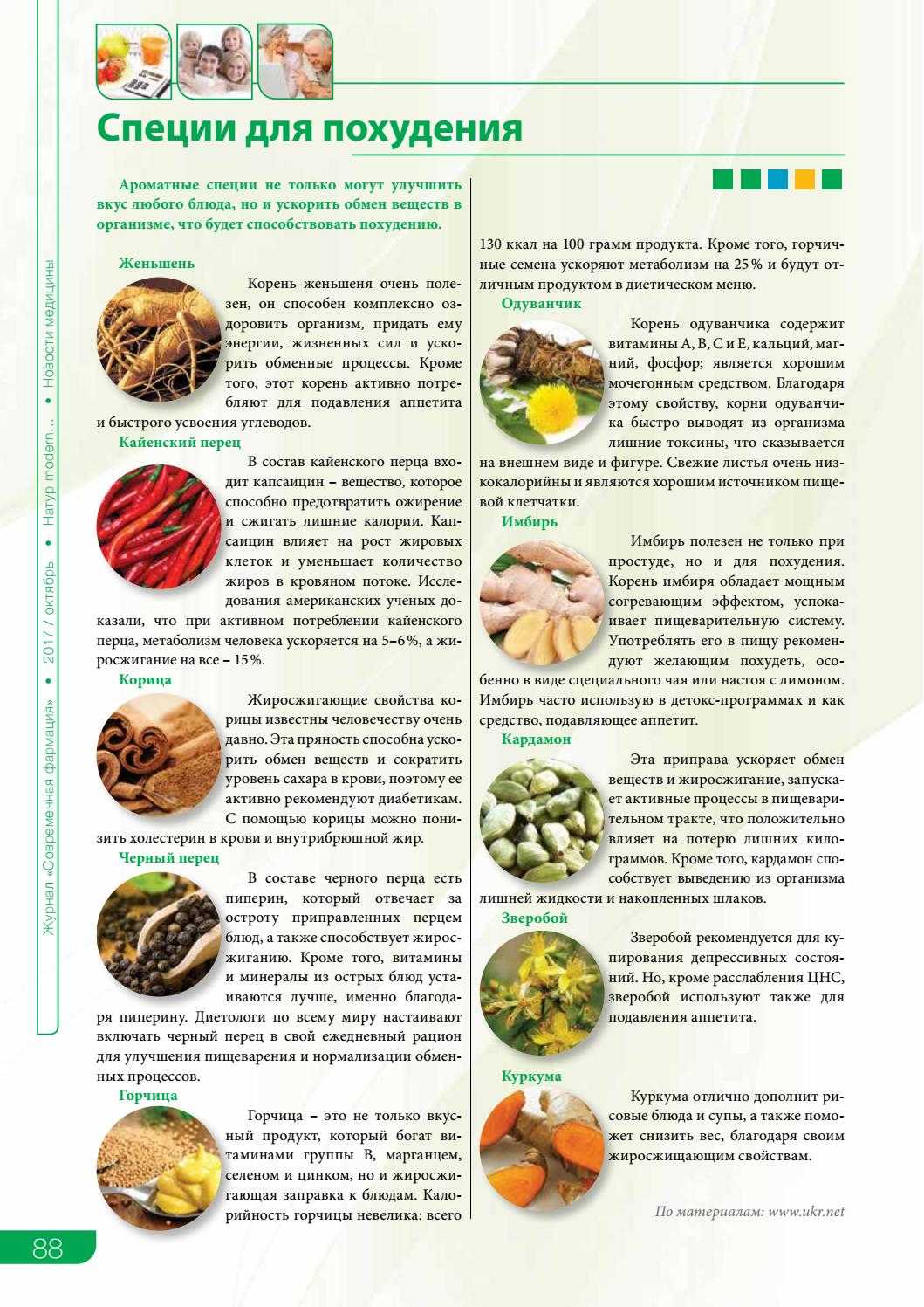 Как принимать семена льна для похудения: отзывы и рецепты