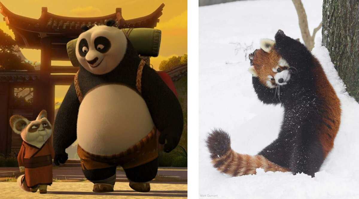 Самые сильные персонажи кунг фу панды