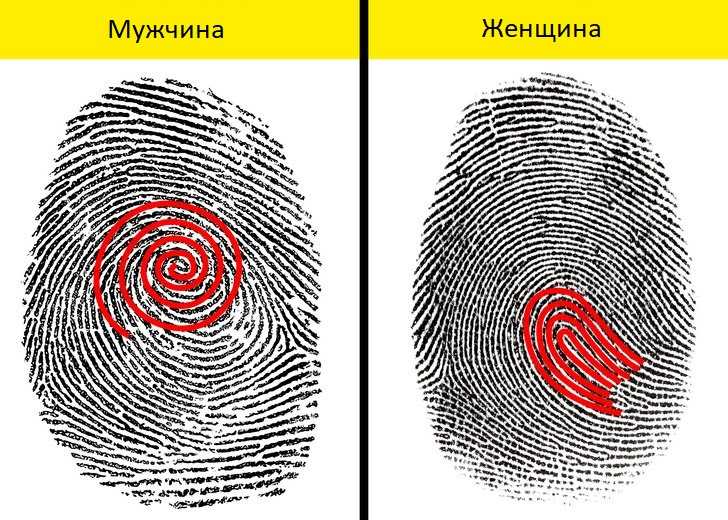 Отпечаток пальца: как работает универсальный ключ? - как это работает - info.sibnet.ru