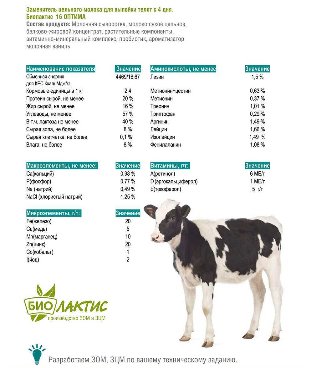 Заменители коровьего молока: польза и преимущества, способы разведения сухого молока